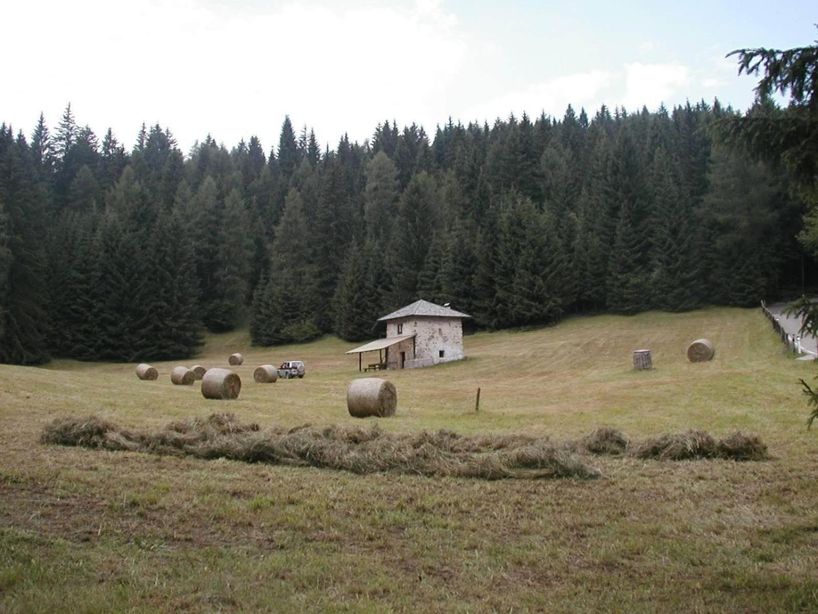 Locanda Alpina 브레쯔 외부 사진