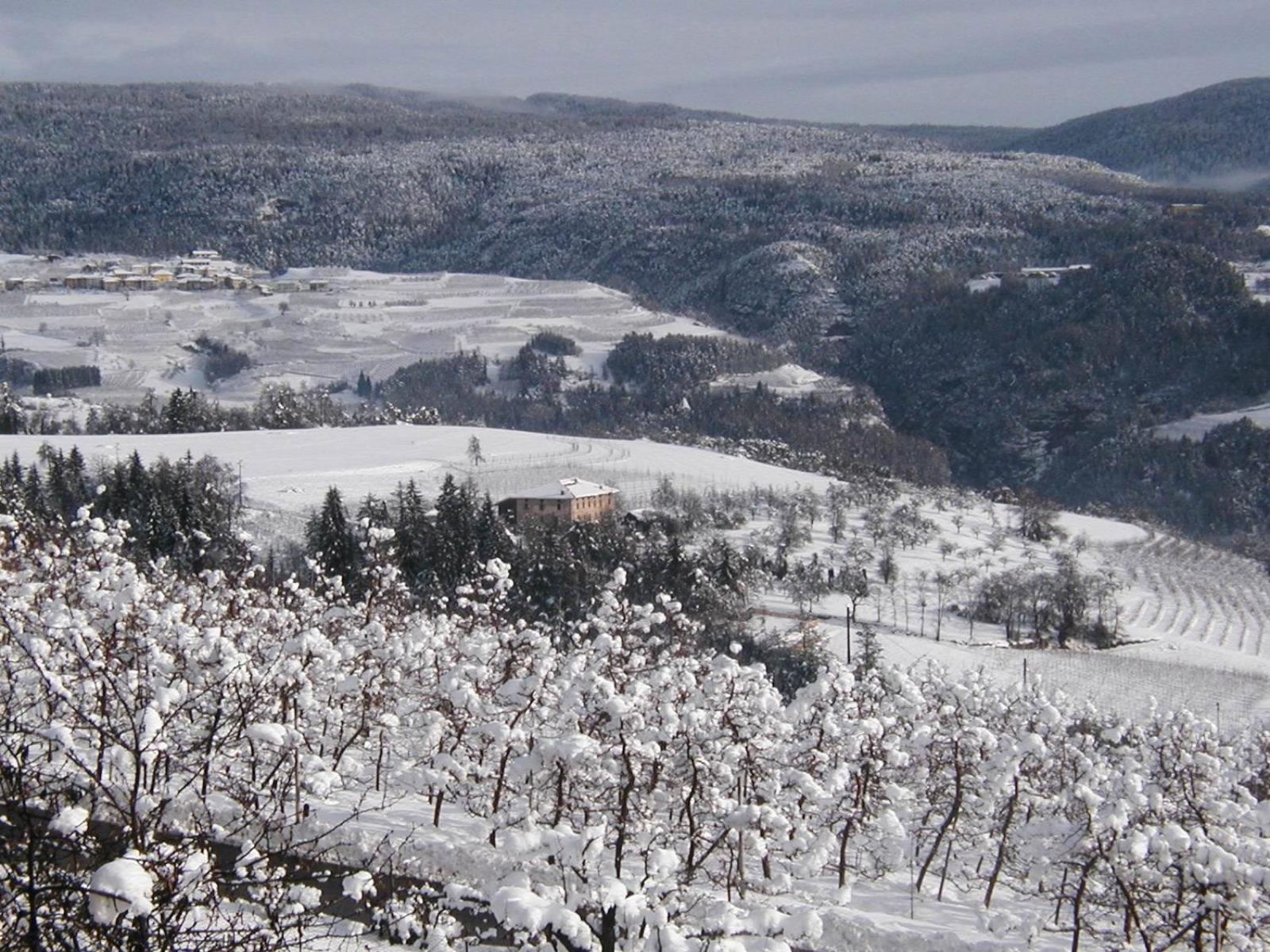 Locanda Alpina 브레쯔 외부 사진